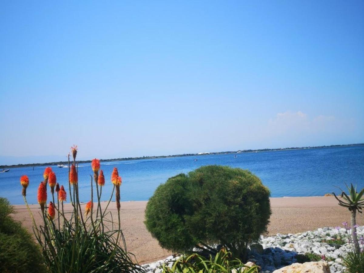 Studio Port Barcarès, 2 pièces, 4 personnes - FR-1-195-25 Le Barcarès Esterno foto